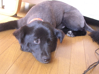 c0065643_16152173.jpg