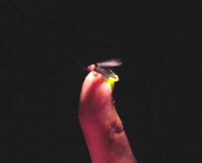 a0003150_17101862.jpg