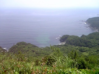 d0058266_2217543.jpg
