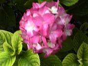 b0042468_14561115.jpg