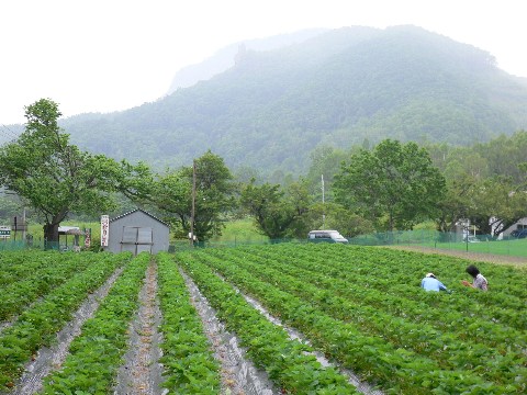 b0068572_2310019.jpg