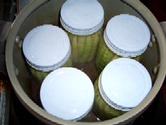 d0050007_11291950.jpg