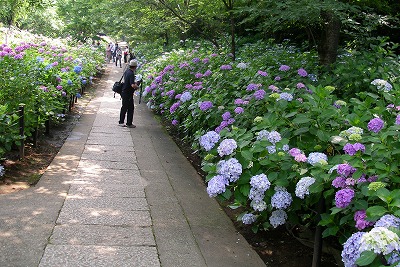 a0034419_15282991.jpg
