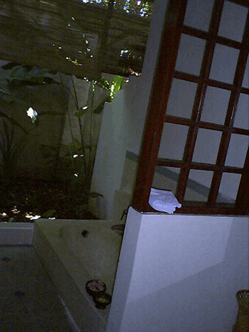 d0038319_9254287.gif