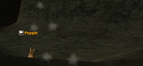 d0065438_3172248.jpg