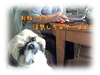 c0043751_1445567.jpg