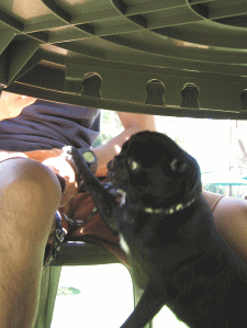 b0035453_14115928.gif