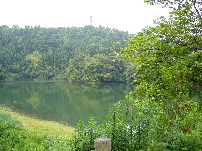 b0045357_8453986.jpg