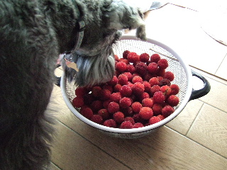 c0017664_22412343.jpg