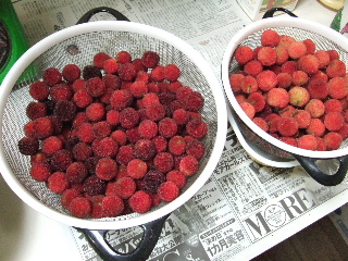 c0017664_22415725.jpg