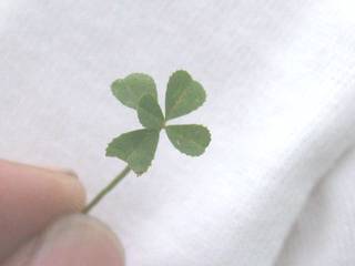 c0001769_2248348.jpg