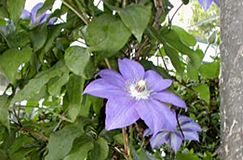 b0067302_125996.jpg