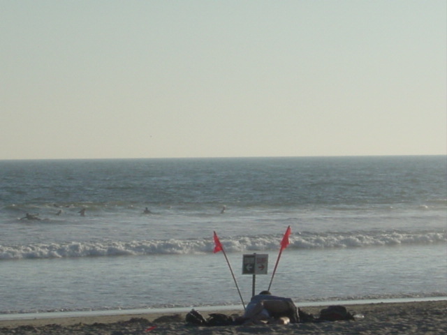 c0048504_3143517.jpg