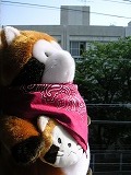 d0054715_1522145.jpg