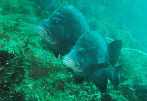 c0034029_22432567.jpg
