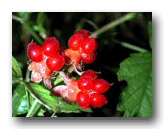 d0029829_2552812.gif