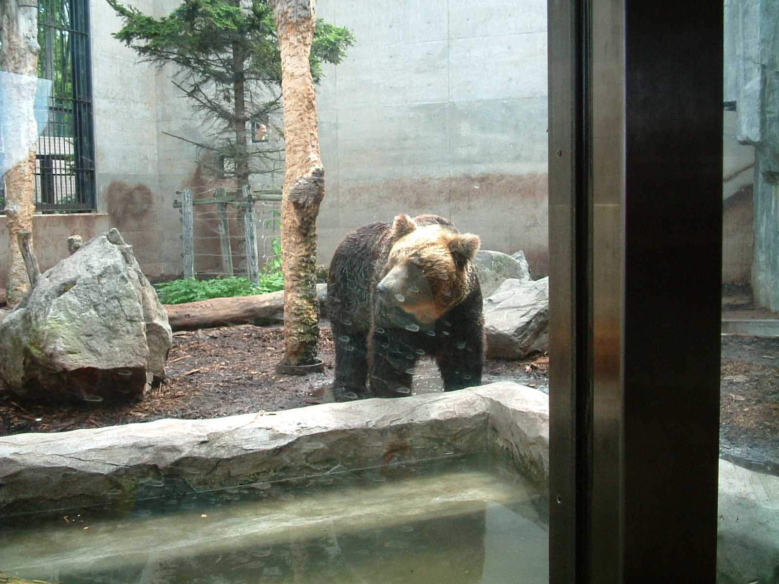 b0066130_22314150.jpg
