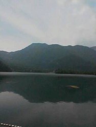 c0072734_114652.jpg