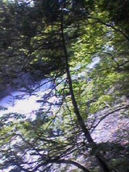 c0072734_115815.jpg