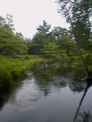 c0072734_122373.jpg