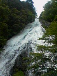 c0072734_12533.jpg
