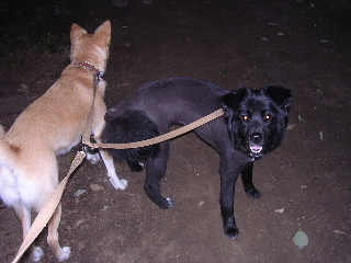 c0065643_2211587.jpg