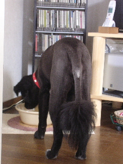 c0065643_2255150.jpg