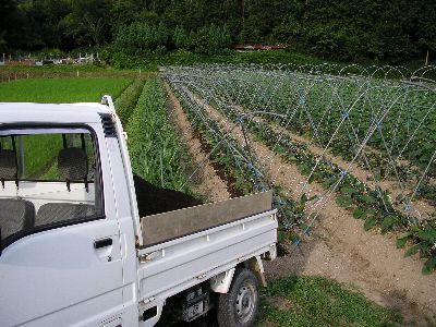 c0072843_4531379.jpg