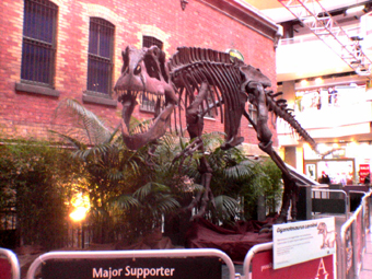 c0008153_2014796.jpg