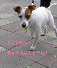 b0065067_1211670.jpg