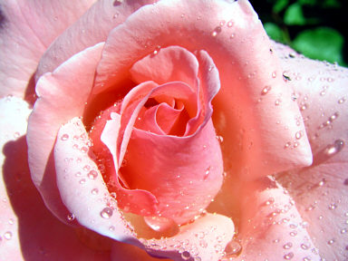 c0026870_14103769.jpg