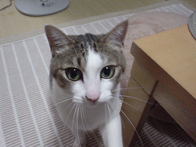 a0036181_23353885.jpg
