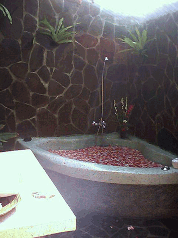 d0038319_18192384.gif