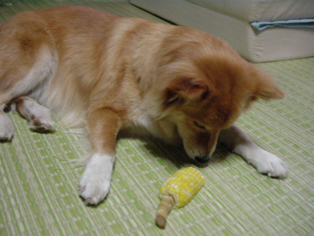 c0030624_1483076.jpg