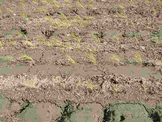 b0008825_2213674.jpg