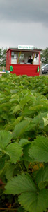 d0008925_0371620.jpg