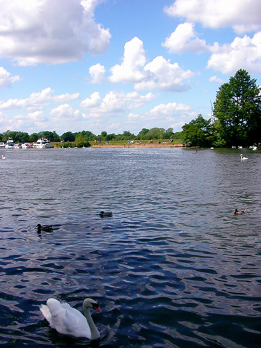 d0008925_0391335.jpg
