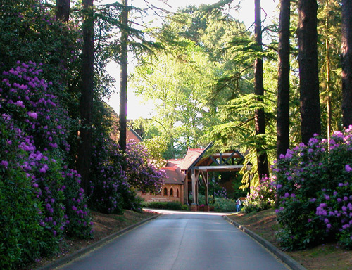 d0008925_0394829.jpg