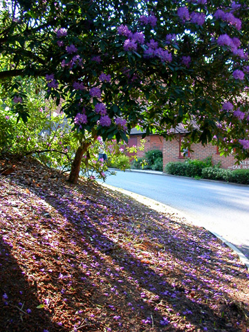 d0008925_0414090.jpg