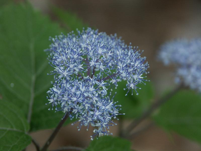 b0039226_2125779.jpg