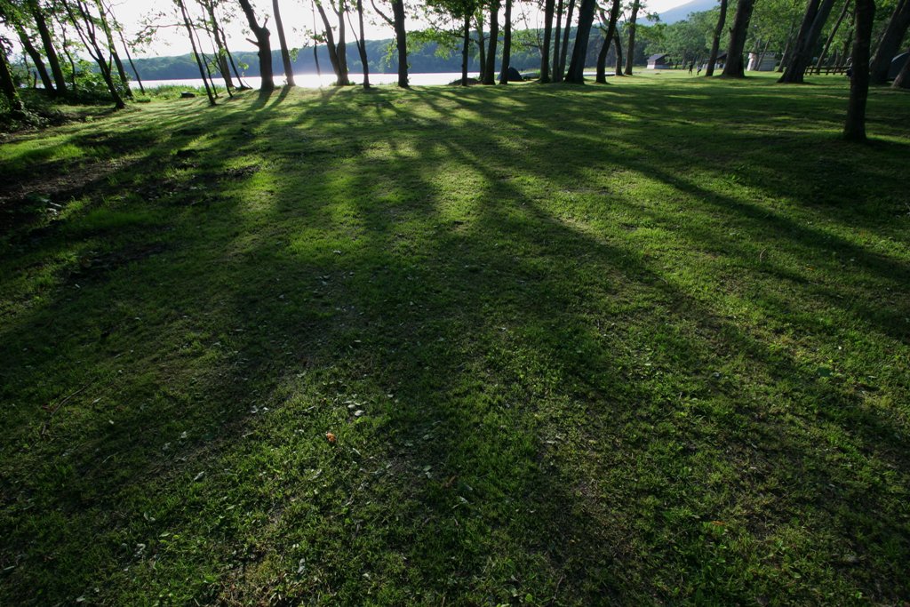 d0001745_1116179.jpg