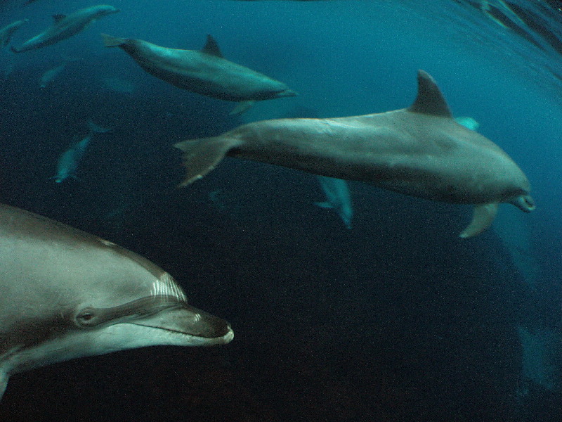 d0021952_6535325.jpg