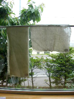 e0004756_9305651.jpg