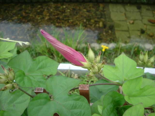 b0055171_2364398.jpg