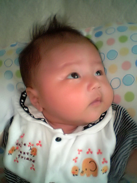 c0012888_17171687.jpg