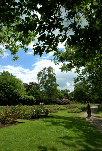 d0008925_2354472.jpg