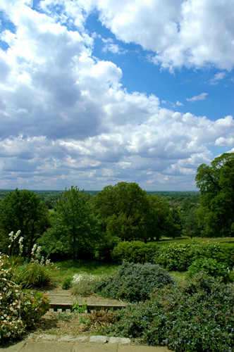 d0008925_2355874.jpg