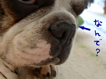 e0008833_12541844.jpg
