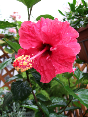 c0048042_21163769.jpg