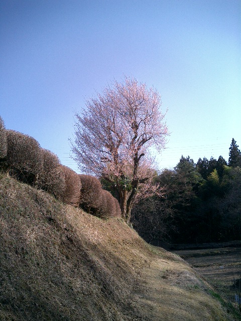e0009147_1119334.jpg